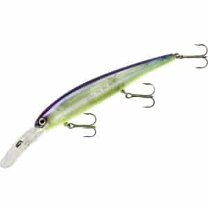Bandit Walley Deep Blue Shiner