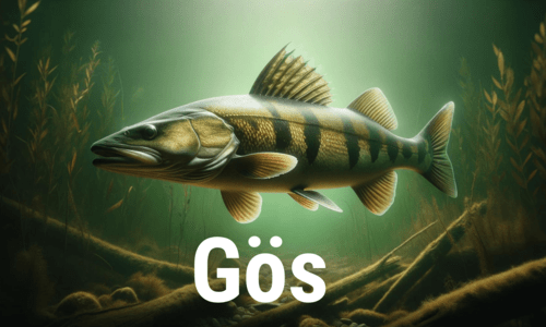 Här hittar du rätt fisketillbehör för abborre, gädda, havsöring, gös, lax, makrill, regnbåge, torsk och öring.