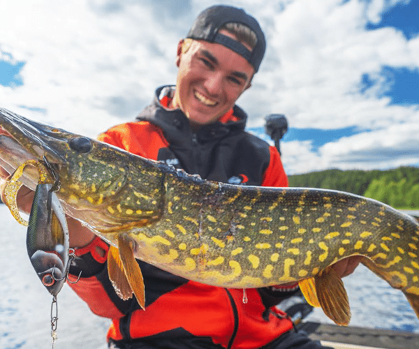 Fånga årets Gädda med fiskespön och tillbehör från FiskeOnline.se