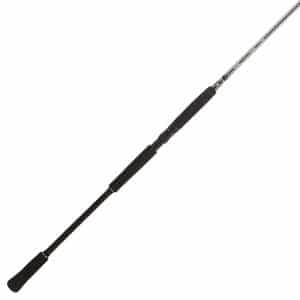 BFT Raptor G2 Pike Spin 8' -100g - 2pcs Haspel