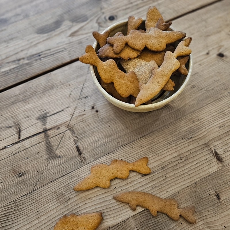 Wiggler Gingerbread Cutters Perch - Pike - Zander
