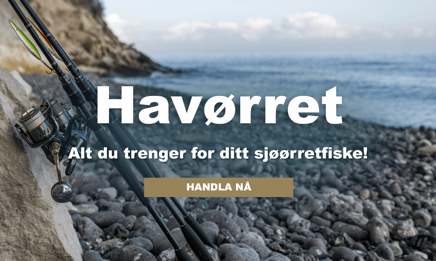 havsöring