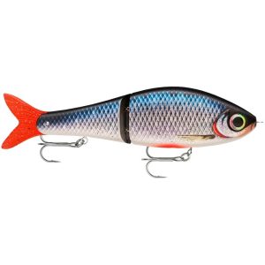Rapala Super Shadow Rap Glide 11cm - Spawning Roach