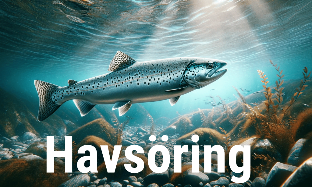 Fånga årets havsöring med kvalitativa fiskespön från FiskeOnline.se