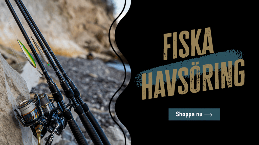 Havsoring