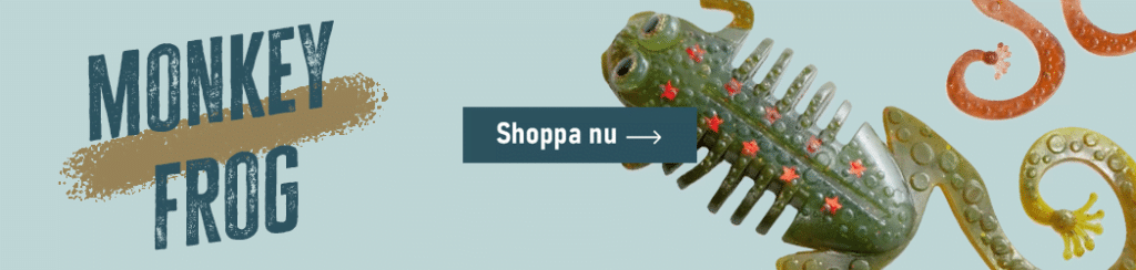 Monkey frog