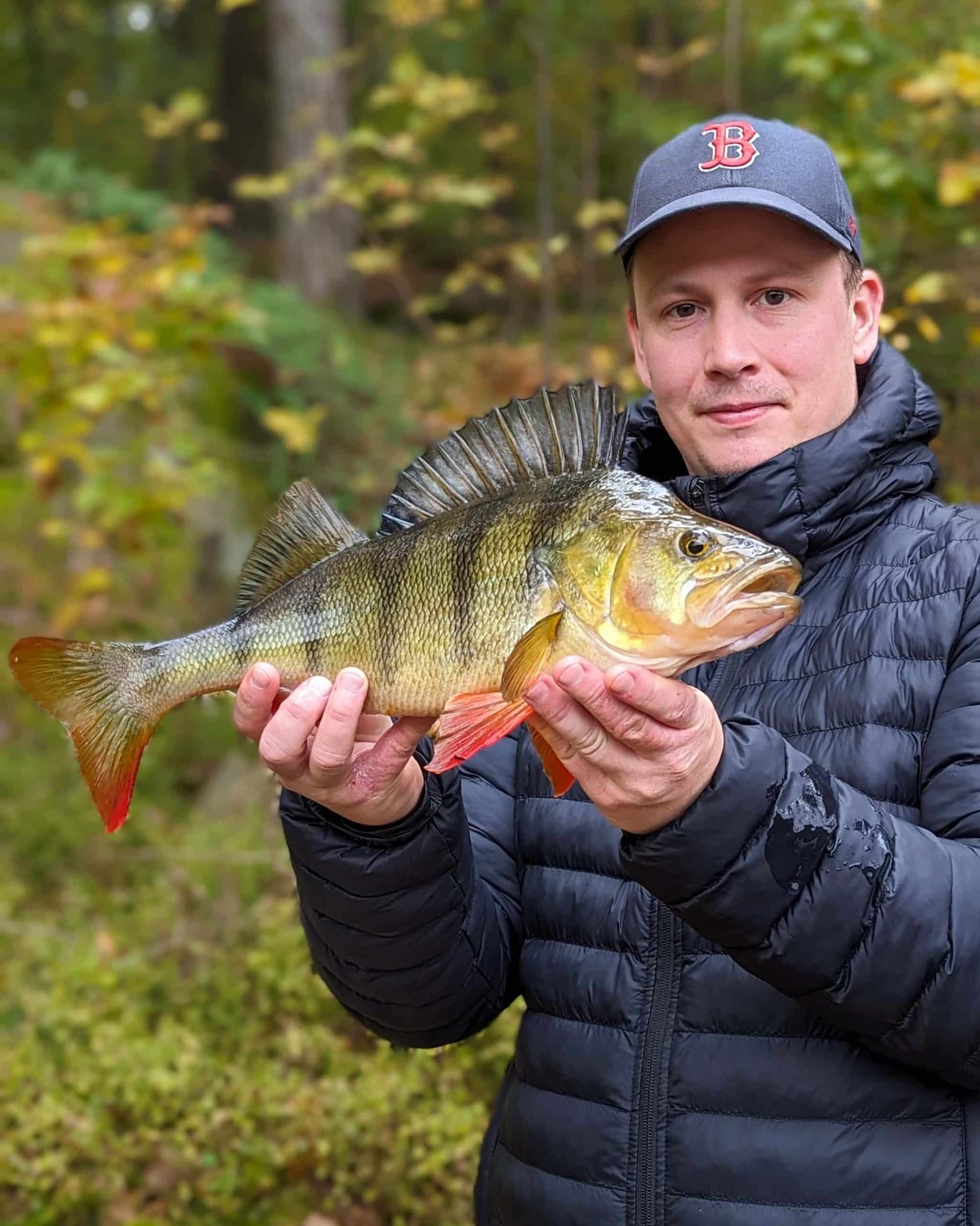 Prostaff 1 scaled
