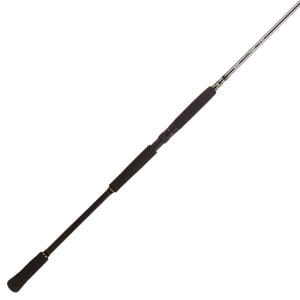 BFT Raptor G2 Pike Spin 8' -100g - 2pcs Haspel