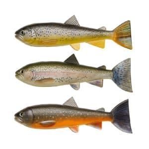 Pulz Bait Skinz Trout 15cm 3-pack - Brown Trout/Rainbow Trout/Arctic Char