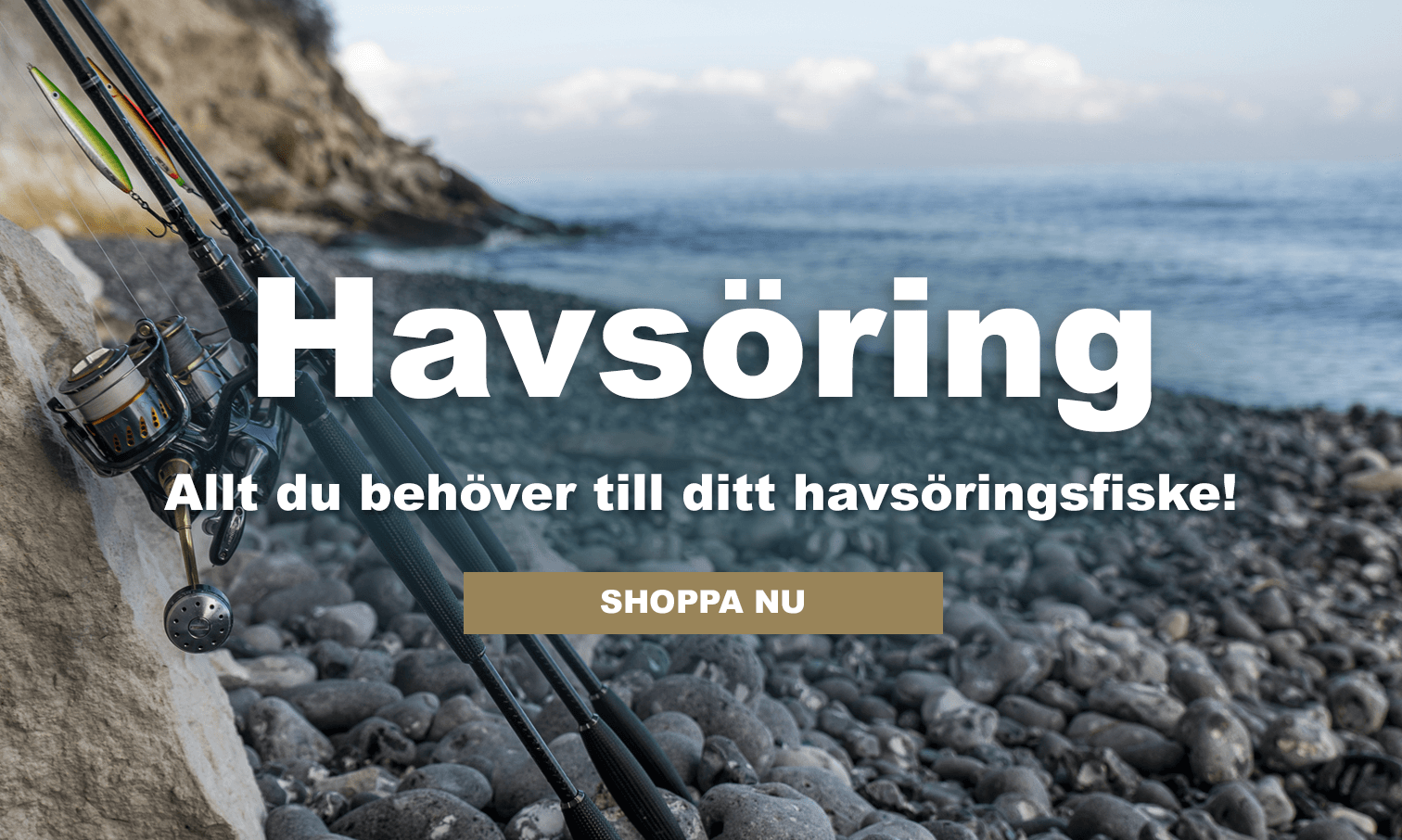 havsöring