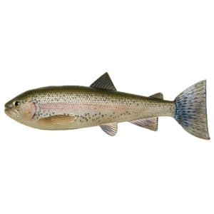 Pulz Bait Skinz Trout 20cm 1-pack - Rainbow Trout